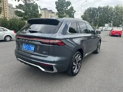 2024 Geely Monjaro 2.0T AT 2WD High Power Sky — фото 11