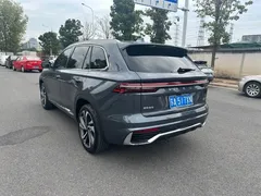 2024 Geely Monjaro 2.0T AT 2WD High Power Sky — фото 13