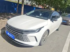 2024 BYD Destroyer 05 DM-i PHEV 55km Luxury, белый — фото 1