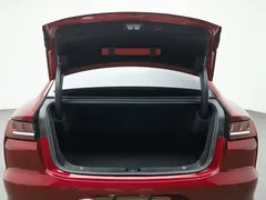 2020 BYD Han DM PHEV 4WD Performance Premium — фото 16
