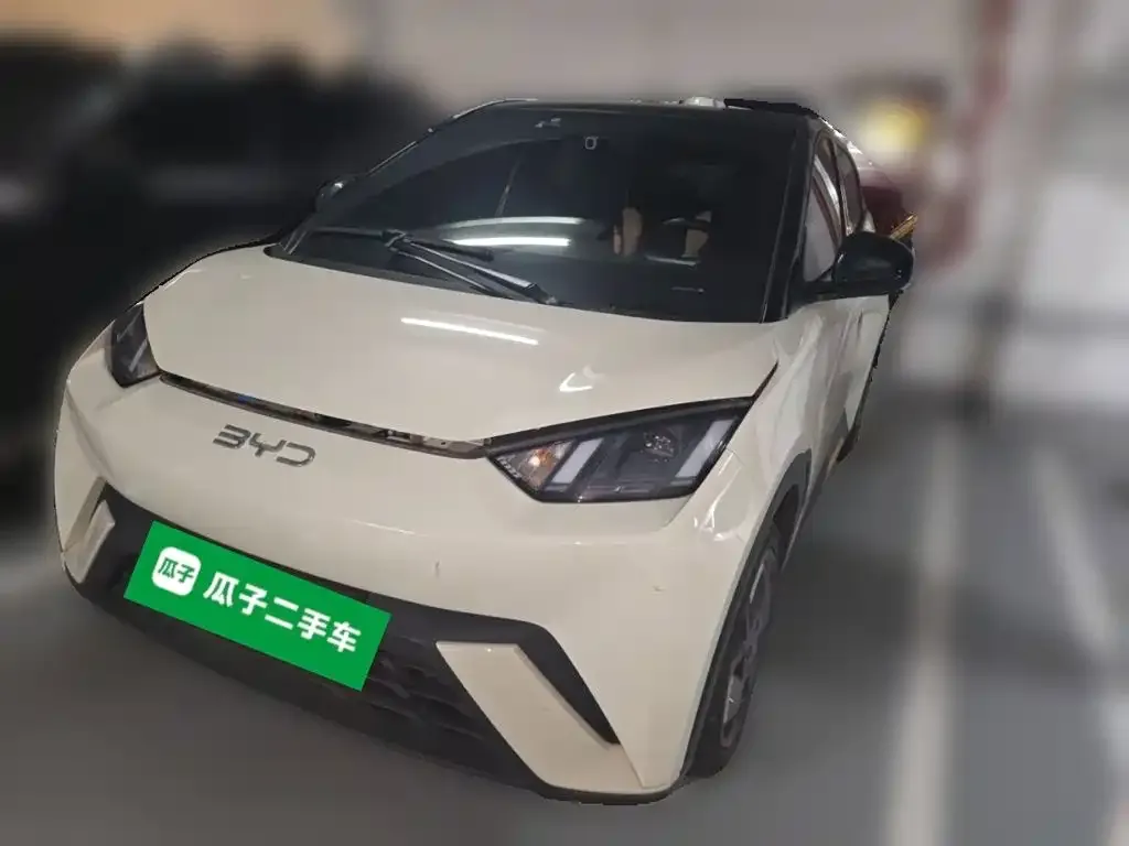 2024 BYD Seagull EV 305km Honor Freedom