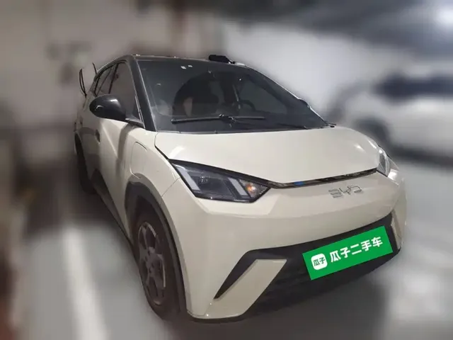 2024 BYD Seagull EV 305km Honor Freedom