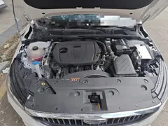 2023 Geely Emgrand 4th Gen Champion 1.5L CVT Premium, белый — фото 21