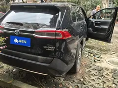 2020 Toyota Wildlander 2.5L Hybrid E-CVT 2WD Luxury, зелёный — фото 3