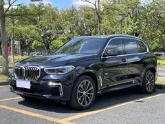 2022 BMW X5 30Li Premium M Sport Package, чёрный — фото 1