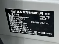 2025 BYD Sealion 06 DM-i PHEV 205 Pro — фото 18