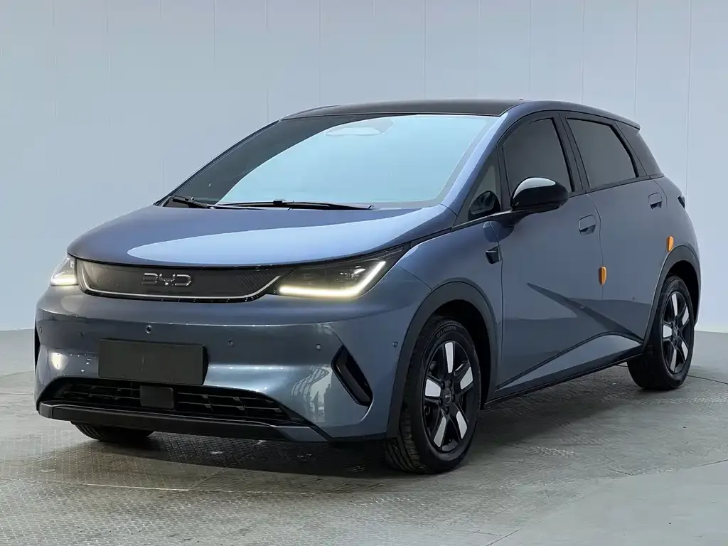 2025 BYD Dolphin Smart Driving 410km Fashion