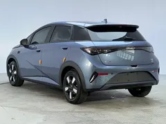 2025 BYD Dolphin Smart Driving 410km Fashion, синий — фото 16