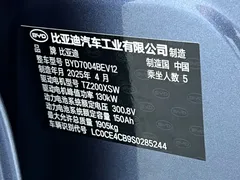 2025 BYD Dolphin Smart Driving 410km Fashion, синий — фото 18