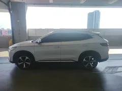 2021 BYD Song PLUS EV Premium, белый — фото 4