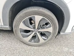 2021 BYD Song PLUS EV Premium, белый — фото 9