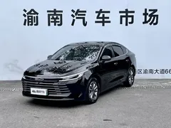 2024 BYD Destroyer 05 DM-i PHEV 55km Luxury, белый — фото 1
