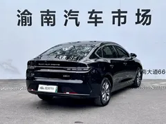 2024 BYD Destroyer 05 DM-i PHEV 55km Luxury, белый — фото 25