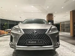2020 Lexus RX 300 4WD Elegance — фото 2