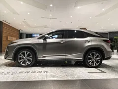 2020 Lexus RX 300 4WD Elegance — фото 3