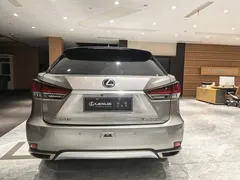 2020 Lexus RX 300 4WD Elegance — фото 8