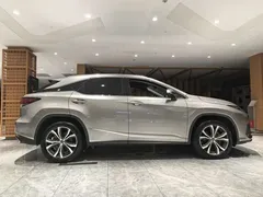 2020 Lexus RX 300 4WD Elegance — фото 9