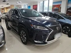 2020 Lexus RX 300 2WD Comfort, синий — фото 4