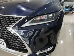 2020 Lexus RX 300 2WD Comfort, синий — фото 24