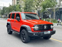 2021 Tank 300 Off-road 2.0T Conqueror — фото 3