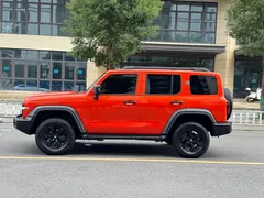 2021 Tank 300 Off-road 2.0T Conqueror — фото 14