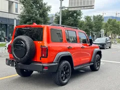 2021 Tank 300 Off-road 2.0T Conqueror — фото 17