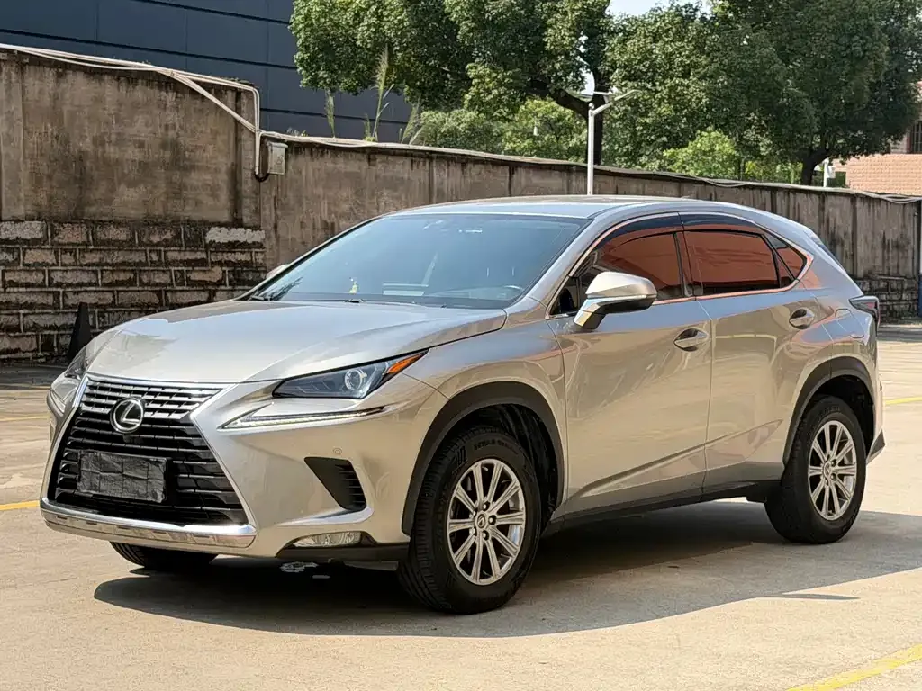 2020 Lexus NX 200 2WD Fengxing China VI