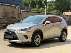 2020 Lexus NX 200 2WD Fengxing China VI — фото 1