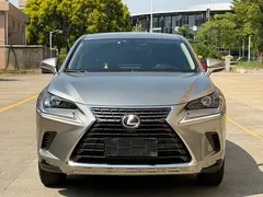 2020 Lexus NX 200 2WD Fengxing China VI — фото 2