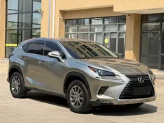 2020 Lexus NX 200 2WD Fengxing China VI — фото 3