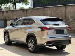 2020 Lexus NX 200 2WD Fengxing China VI — фото 7