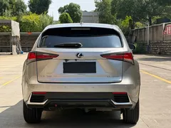 2020 Lexus NX 200 2WD Fengxing China VI — фото 8