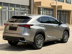 2020 Lexus NX 200 2WD Fengxing China VI — фото 9