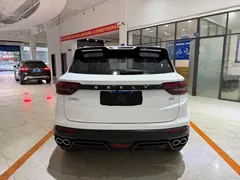 2021 Geely Coolray 1.4T MT Gold, белый — фото 5