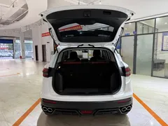 2021 Geely Coolray 1.4T MT Gold, белый — фото 8
