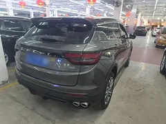 2021 Geely Coolray 1.4T DCT Diamond — фото 7