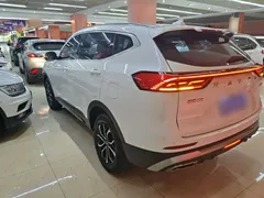 2021 Haval H6 1.5T AT Guochao Urban, белый — фото 5