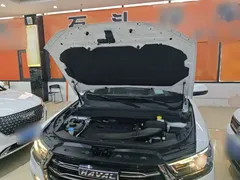 2021 Haval H6 1.5T AT Guochao Urban, белый — фото 20