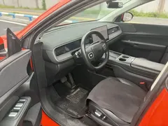 2023 Xpeng G6 700 4WD Performance Max — фото 4