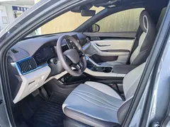 2025 BYD Song PLUS EV 520km Luxury — фото 6