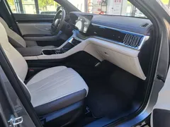 2025 BYD Song PLUS EV 520km Luxury — фото 11