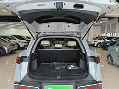 2025 BYD Yuan UP Smart Driving 401km Leading, белый — фото 19