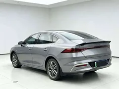 2023 BYD Qin PLUS Champion EV 510km Leading — фото 9