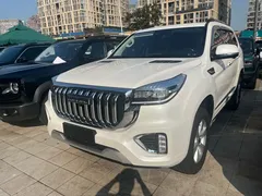 2022 Haval H9 2.0T Petrol 4WD Luxury 7-seat, белый — фото 1