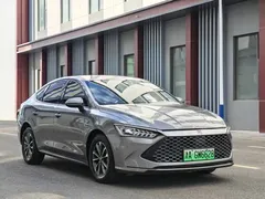 2023 BYD Qin PLUS Champion DM-i PHEV 55KM Leading — фото 3