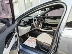 2023 BYD Qin PLUS Champion DM-i PHEV 55KM Leading — фото 5