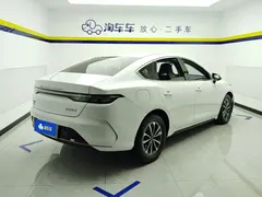 2023 BYD Destroyer 05 Champion DM-i PHEV 55km Luxury, белый — фото 3
