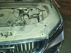 2023 Geely Monjaro 2.0TD High Power AT 2WD Flagship — фото 21