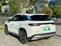 2025 BYD Song L PHEV 160km Smart Driving Exceed, белый — фото 9