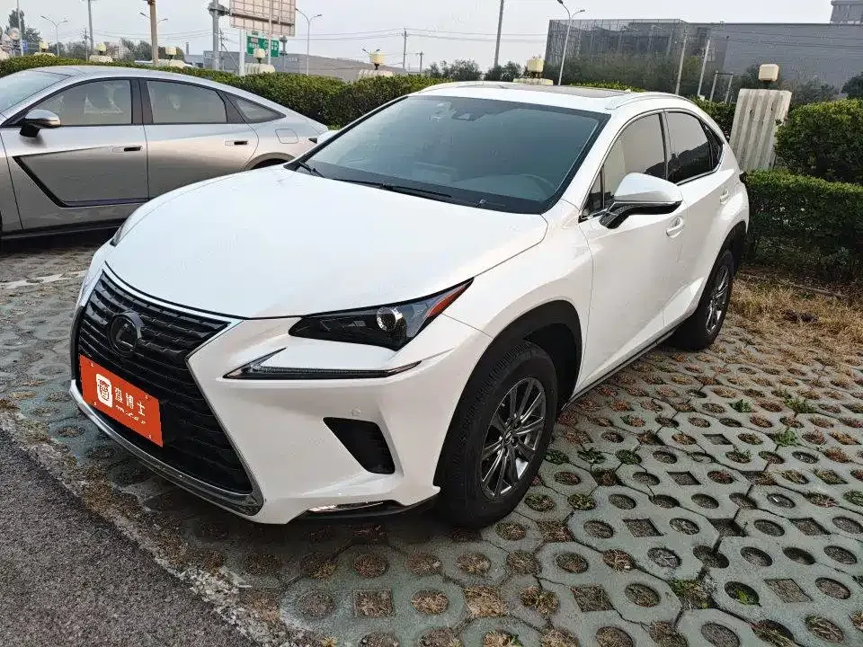 2020 Lexus NX 200 4WD Fashion China VI